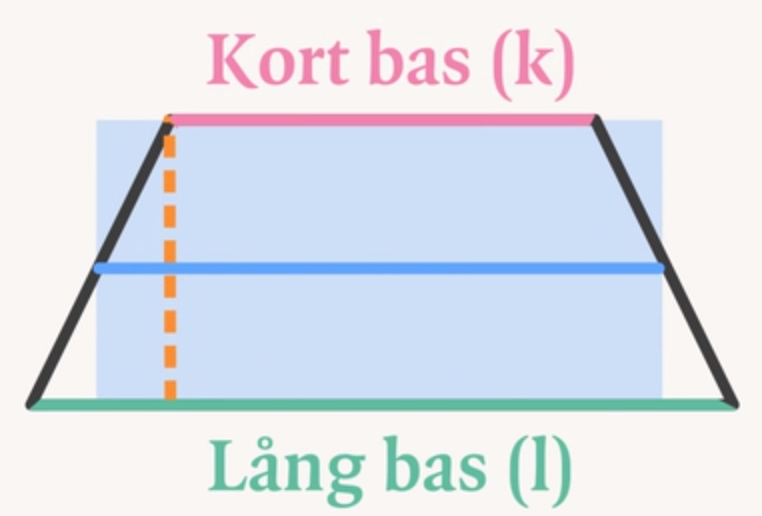 Hur Räknar Man Ut Arean På En Rektangel