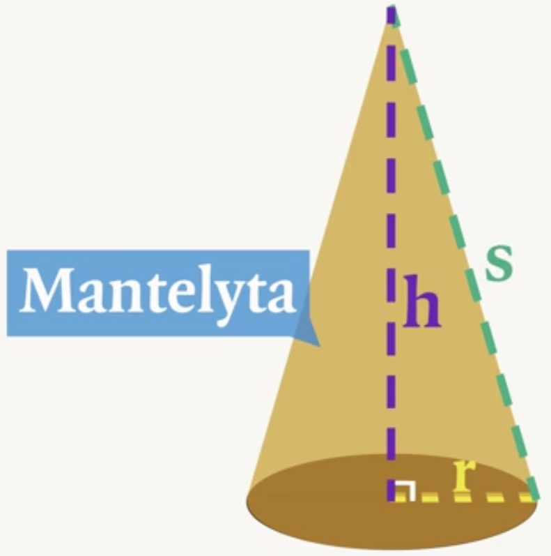 Konens mantelyta